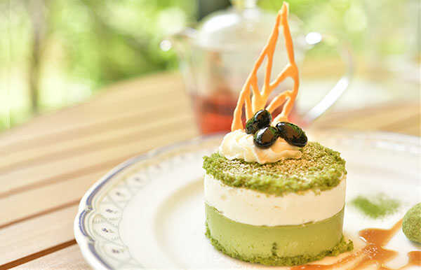 抹茶のケーキ