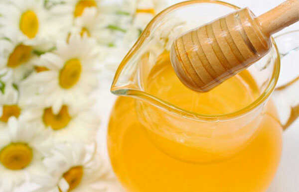 限定販売のはちみつ